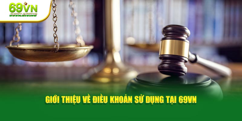 Giới thiệu về điều khoản sử dụng tại 69VN